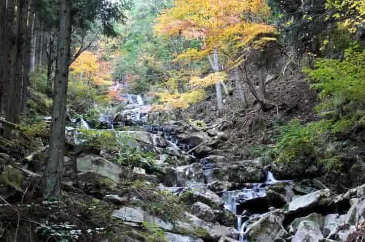 �O�J���E����